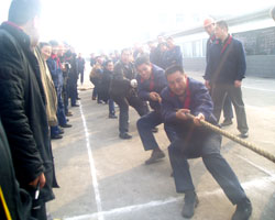 20080108075805195